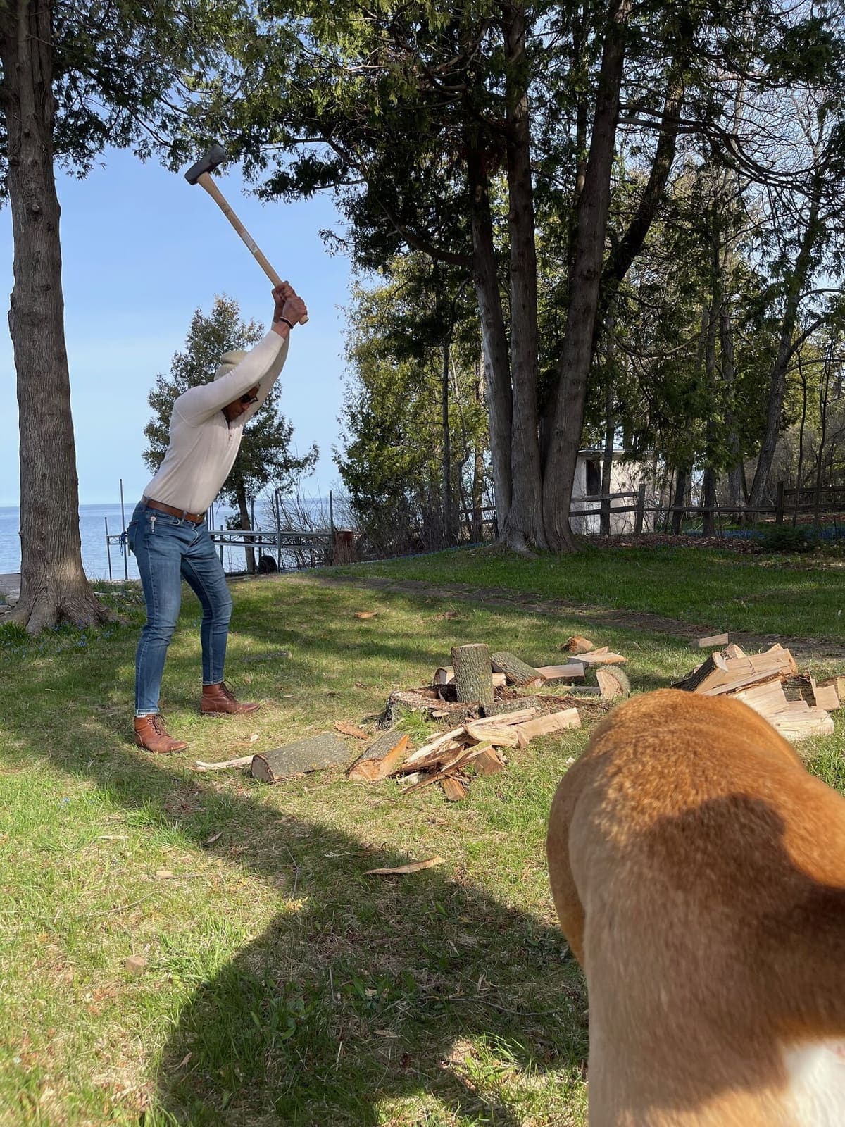 Axe Ahmed splitting firewood by the water while the family dog watches